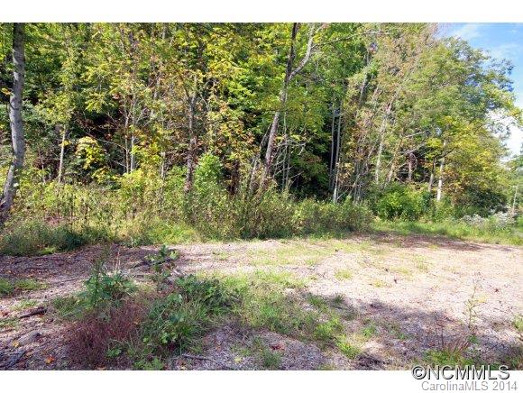 0 Little Cove Road Waynesville, NC 28786 - Photo 5 of 8 Gallery Image 5