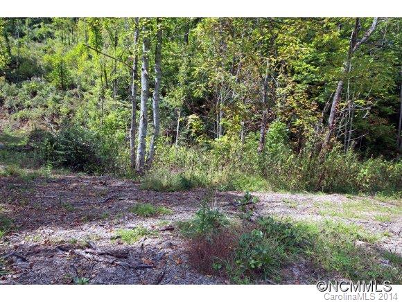 0 Little Cove Road Waynesville, NC 28786 - Photo 6 of 8 Gallery Image 6