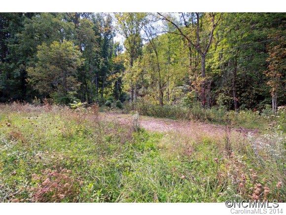0 Little Cove Road Waynesville, NC 28786 - Photo 7 of 8 Gallery Image 7