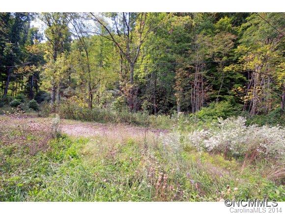 0 Little Cove Road Waynesville, NC 28786 - Photo 8 of 8 Gallery Image 8