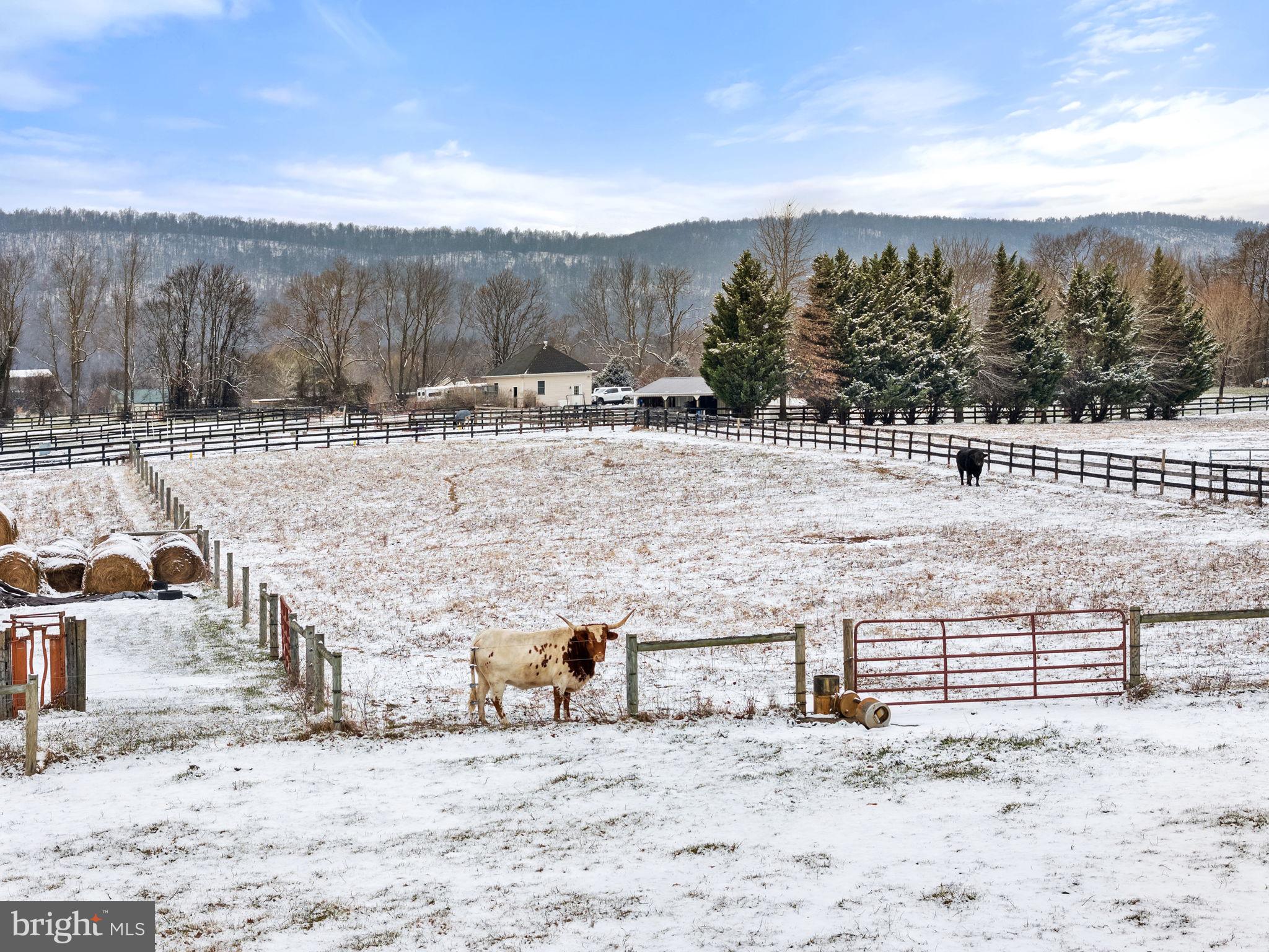 15157 Purcellville Road Purcellville, VA 20132 - Photo 101 of 115