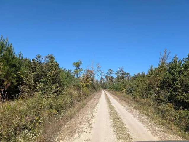 $55,000 | 350 Pervis Lane, Unit LOT 4, Walterboro, SC 29488