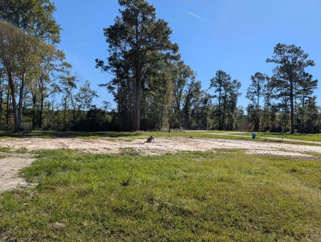 $55,000 | 350 Pervis Lane, Unit LOT 4, Walterboro, SC 29488