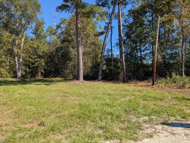 $55,000 | 350 Pervis Lane, Unit LOT 4, Walterboro, SC 29488
