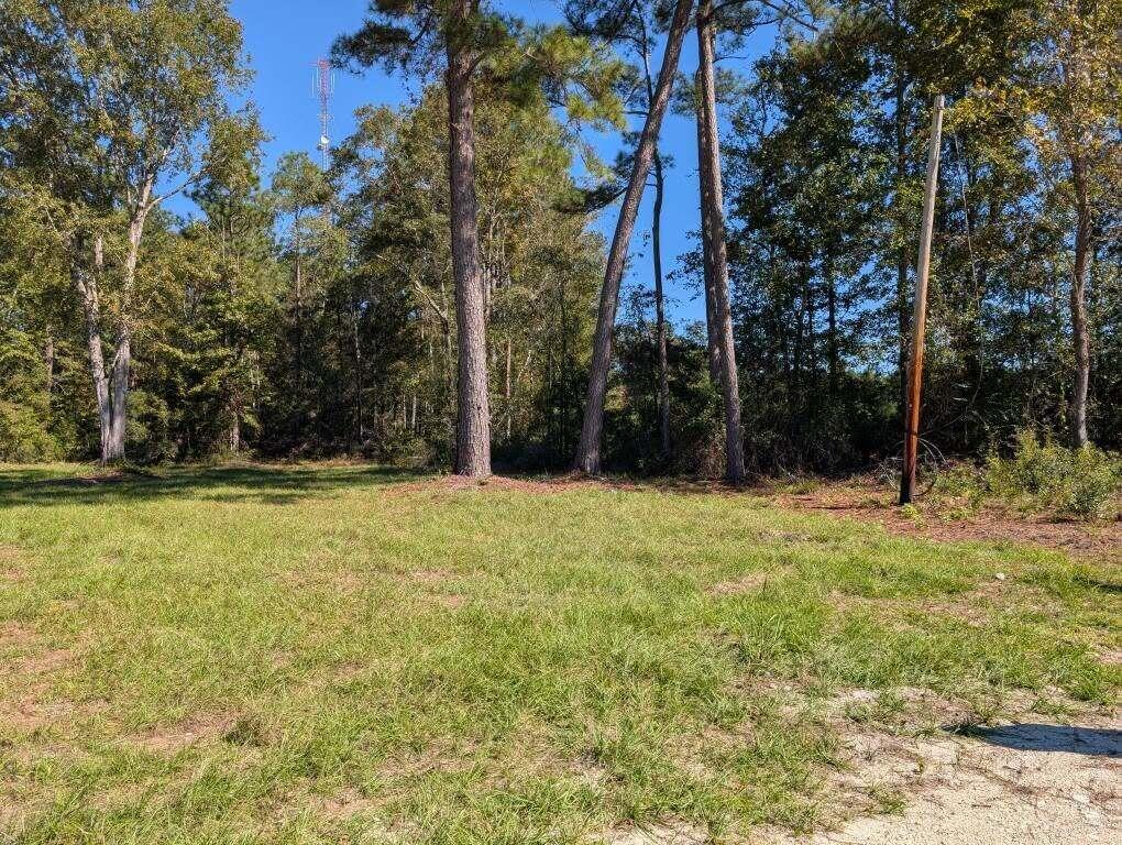 350 Pervis Lane, Unit LOT 4 Walterboro, SC 29488 - Photo 5 of 5 350 Pervis 4