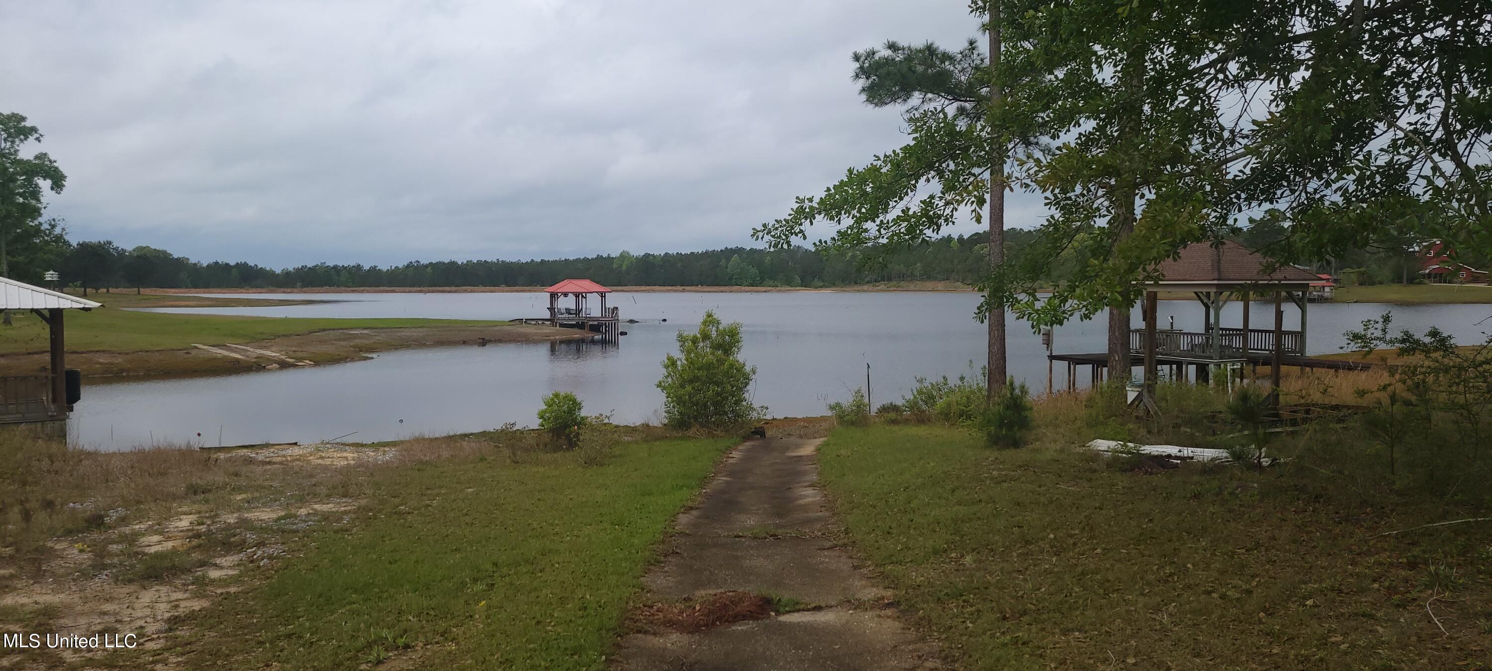 Lake Gary Road Leakesville, MS 39451 - Photo 8 of 8 20240409_093104