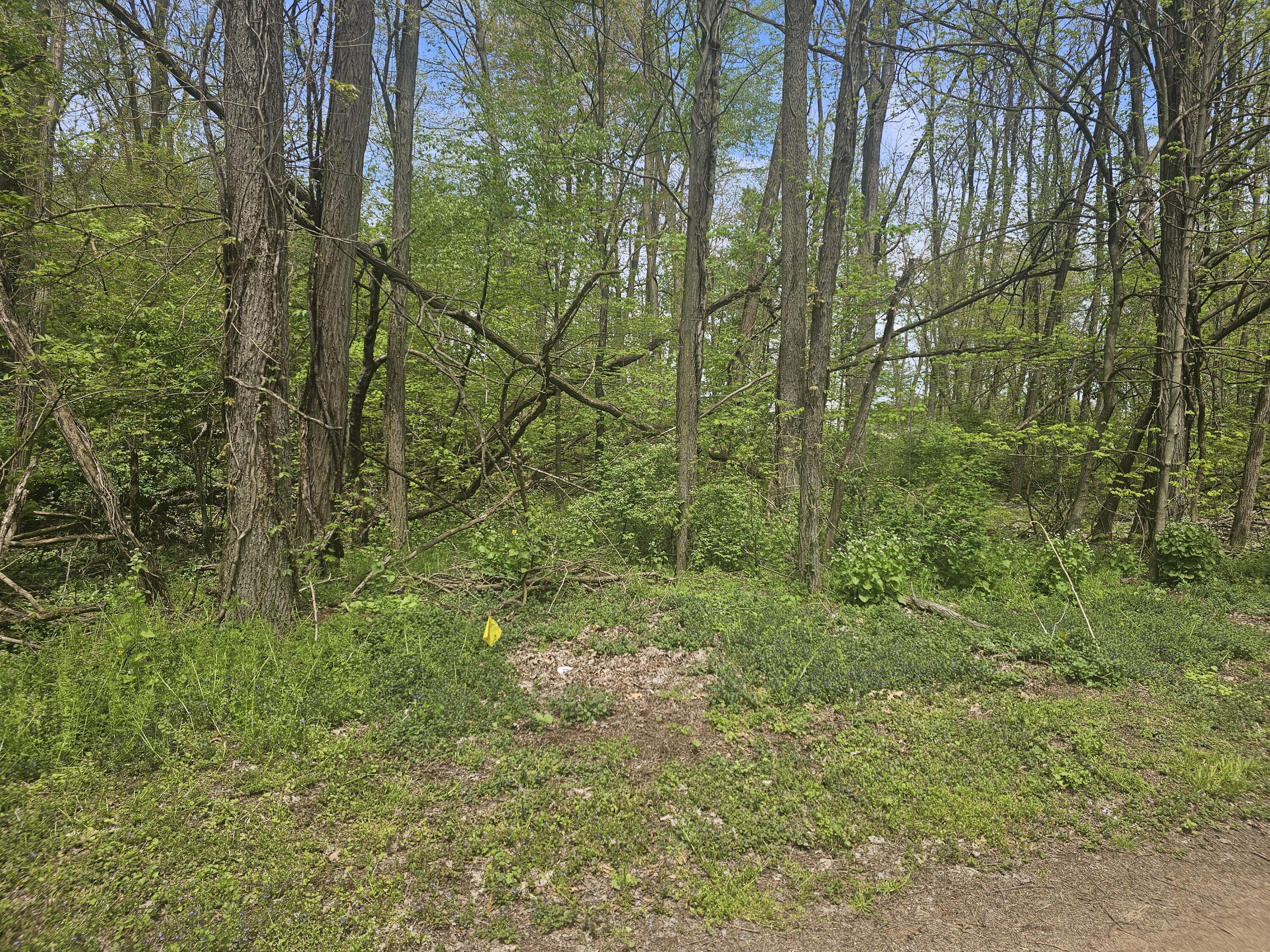 Three Rivers Mi 49093 Avenue Three Rivers, MI 49093 - Photo 2 of 7 20250507_141236