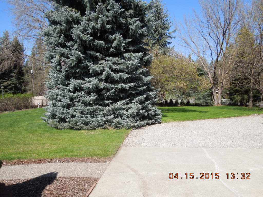14017 North Rivilla Lane Spokane, WA 99208 - Photo 19 of 19