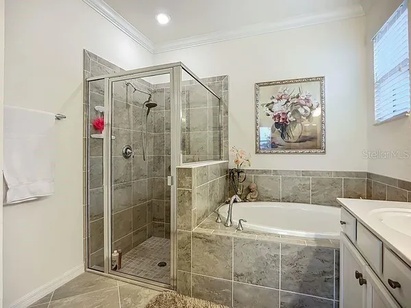 a bathroom with a bath tub and a shower