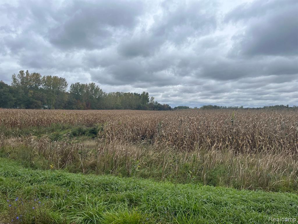 7251 South Bohms Road Imlay City, MI 48444 - Photo 2 of 3 Gallery Image 2