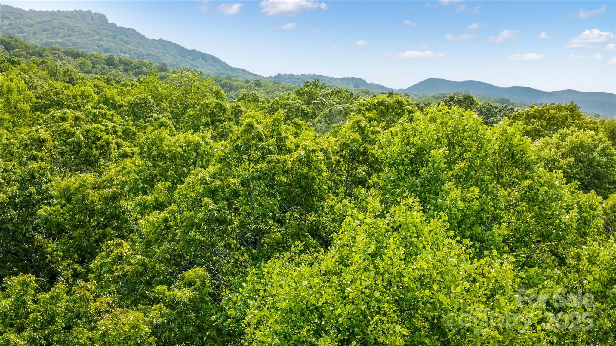 0 Morgan Hill Road Fairview, NC 28730 - Photo 1 of 5 Gallery Image 1