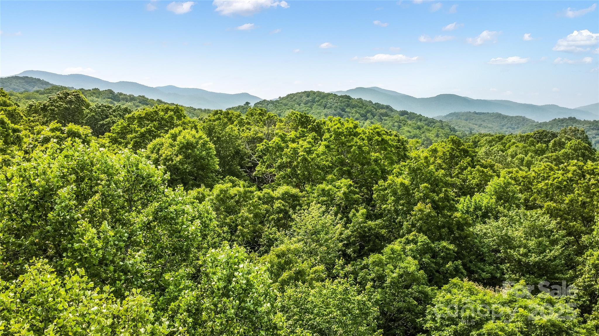 0 Morgan Hill Road Fairview, NC 28730 - Photo 3 of 5 Gallery Image 3