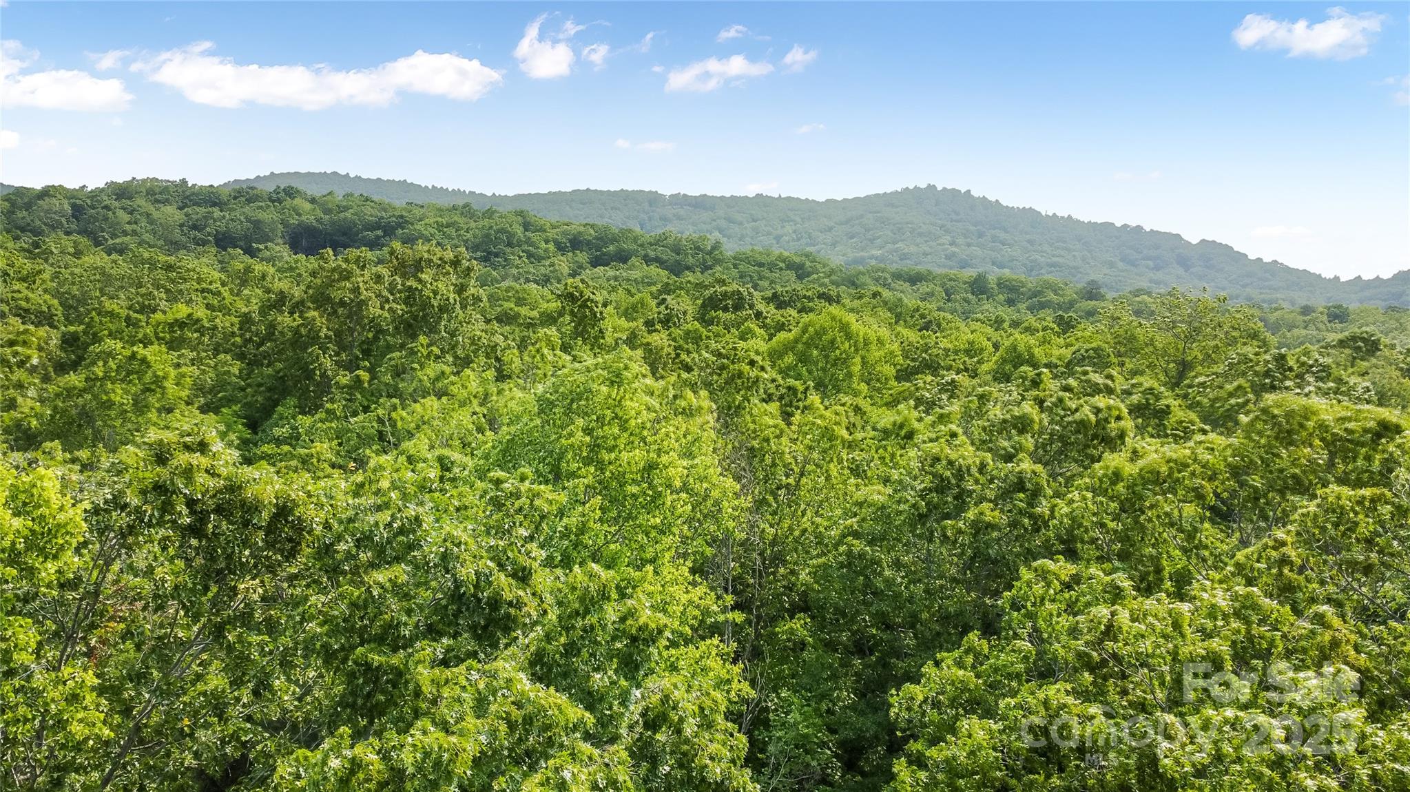 0 Morgan Hill Road Fairview, NC 28730 - Photo 5 of 5 Gallery Image 5