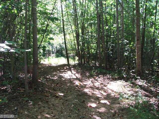 1797 Delta Church Road Sandy Ridge, NC 27046 - Photo 14 of 16 Land/Lot.