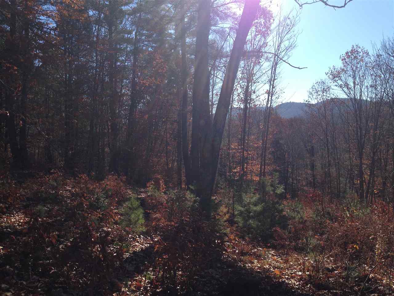 6 Eastern Corner Road, Unit 6 Campton, NH 03223 - Photo 14 of 14