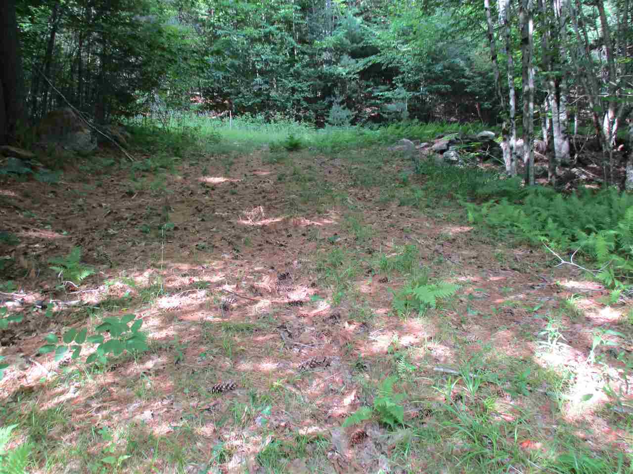 6 Eastern Corner Road, Unit 6 Campton, NH 03223 - Photo 3 of 14