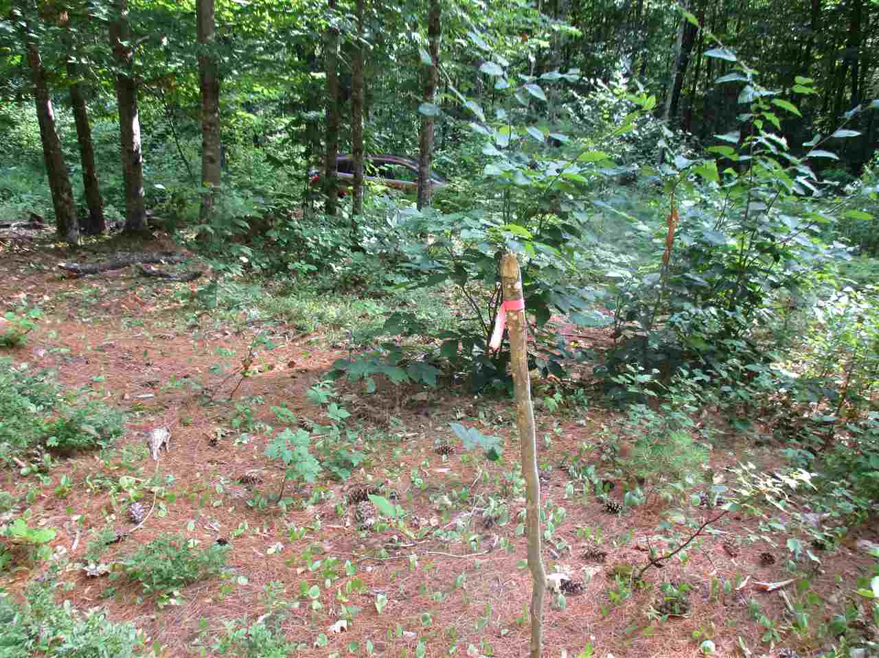 6 Eastern Corner Road, Unit 6 Campton, NH 03223 - Photo 4 of 14
