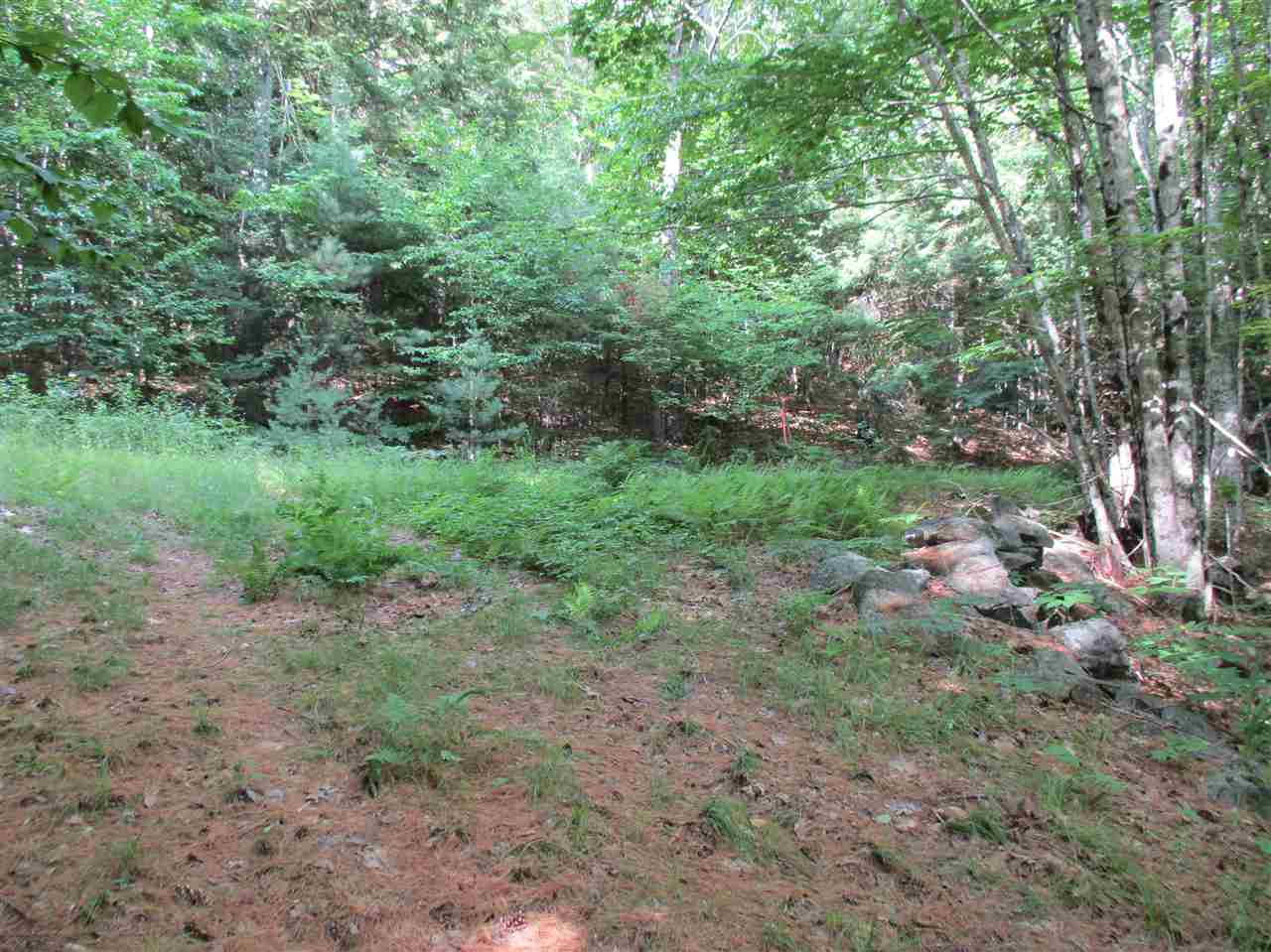 6 Eastern Corner Road, Unit 6 Campton, NH 03223 - Photo 5 of 14