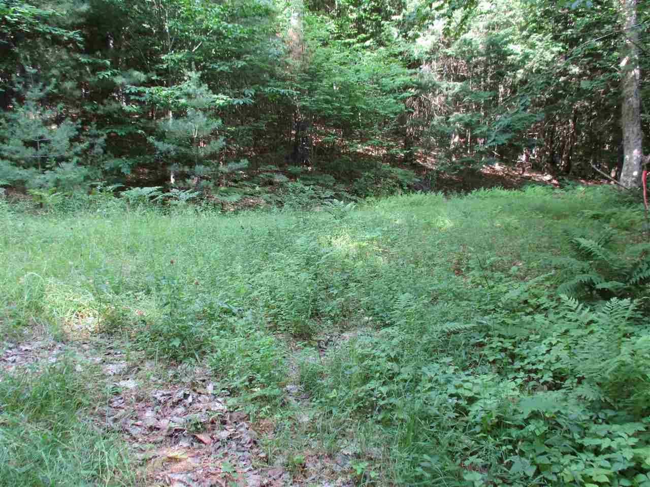 6 Eastern Corner Road, Unit 6 Campton, NH 03223 - Photo 6 of 14
