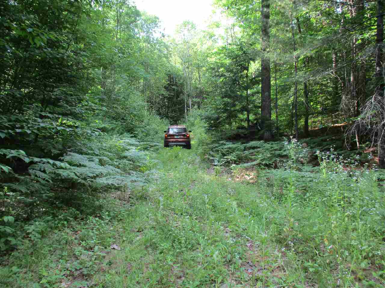6 Eastern Corner Road, Unit 6 Campton, NH 03223 - Photo 7 of 14