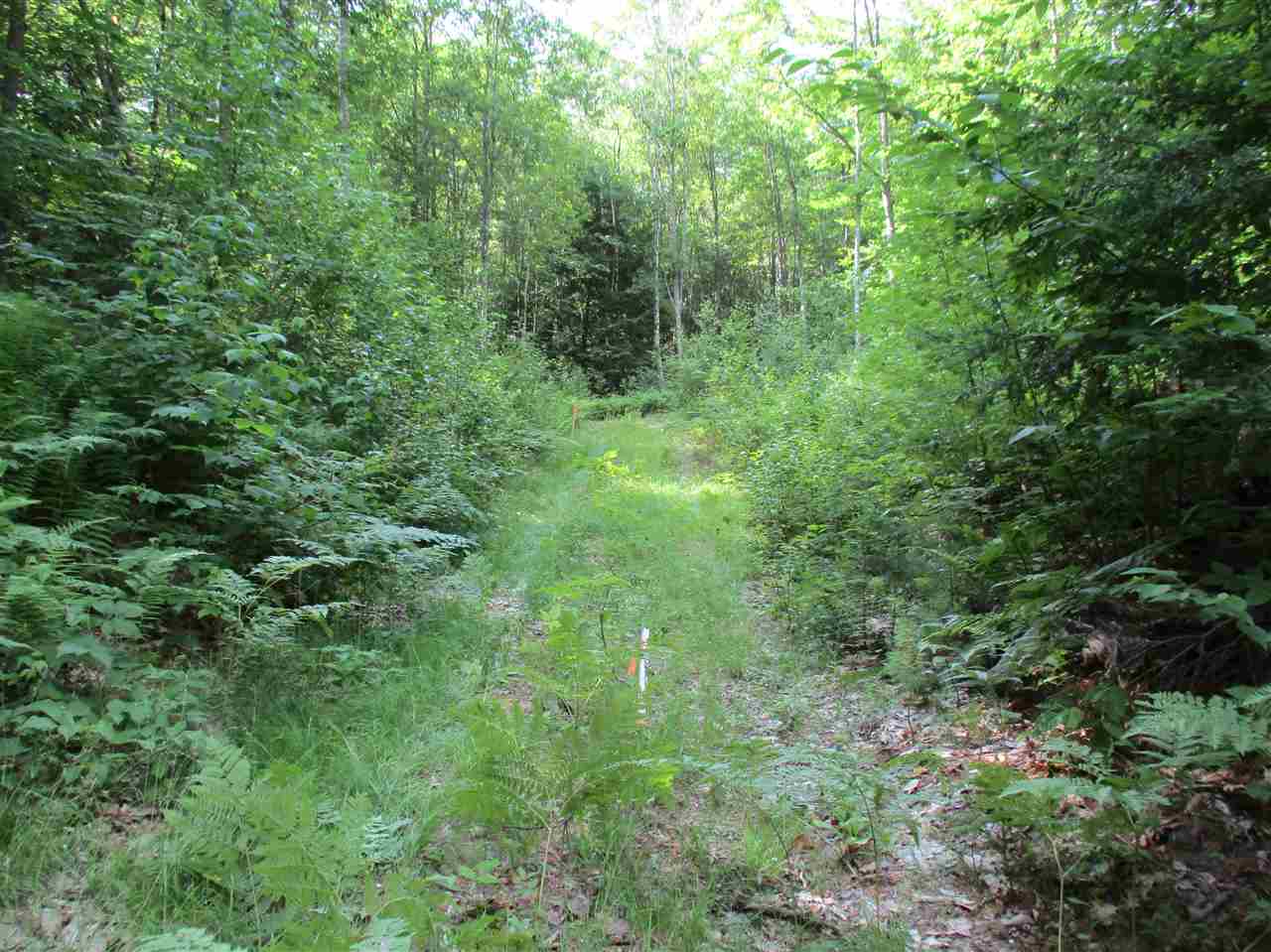 6 Eastern Corner Road, Unit 6 Campton, NH 03223 - Photo 8 of 14