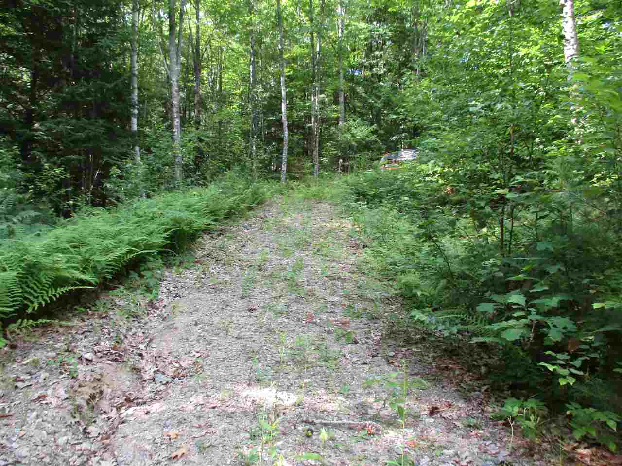 6 Eastern Corner Road, Unit 6 Campton, NH 03223 - Photo 9 of 14