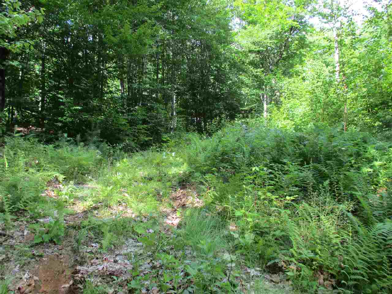 6 Eastern Corner Road, Unit 6 Campton, NH 03223 - Photo 10 of 14