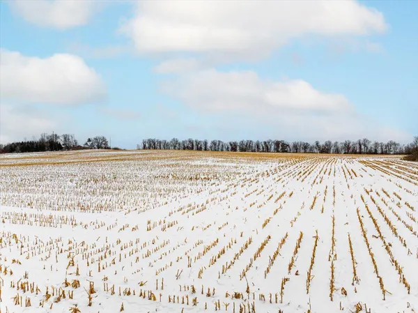 $510,000 | Xxx 220th Street, Woodville, WI 54028