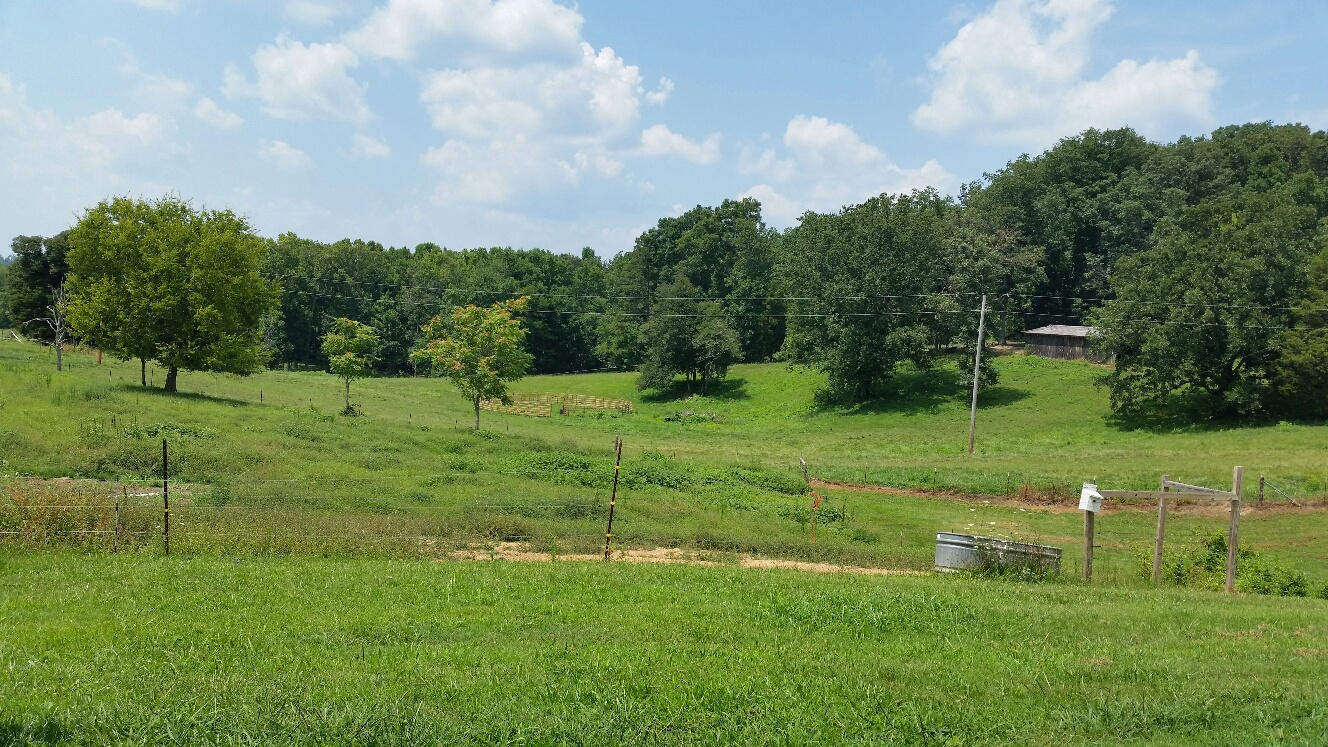 4938 Loudon Ridge Road Lenoir City, TN 37771 - Photo 4 of 6 20140803_142749_resized