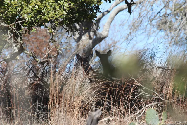 a view of a green field