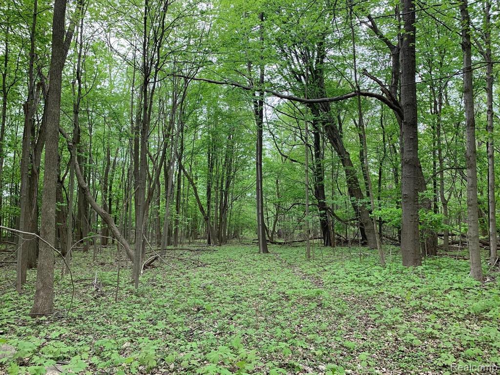 15-acres Middle Road Highland, MI 48357 - Photo 3 of 3