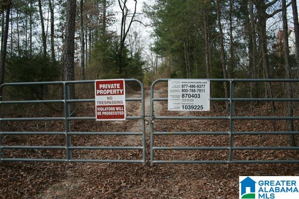 Rushing Springs Road, Unit 52± ACRES Lincoln, AL 35096 - Photo 5 of 15 Gallery Image 5