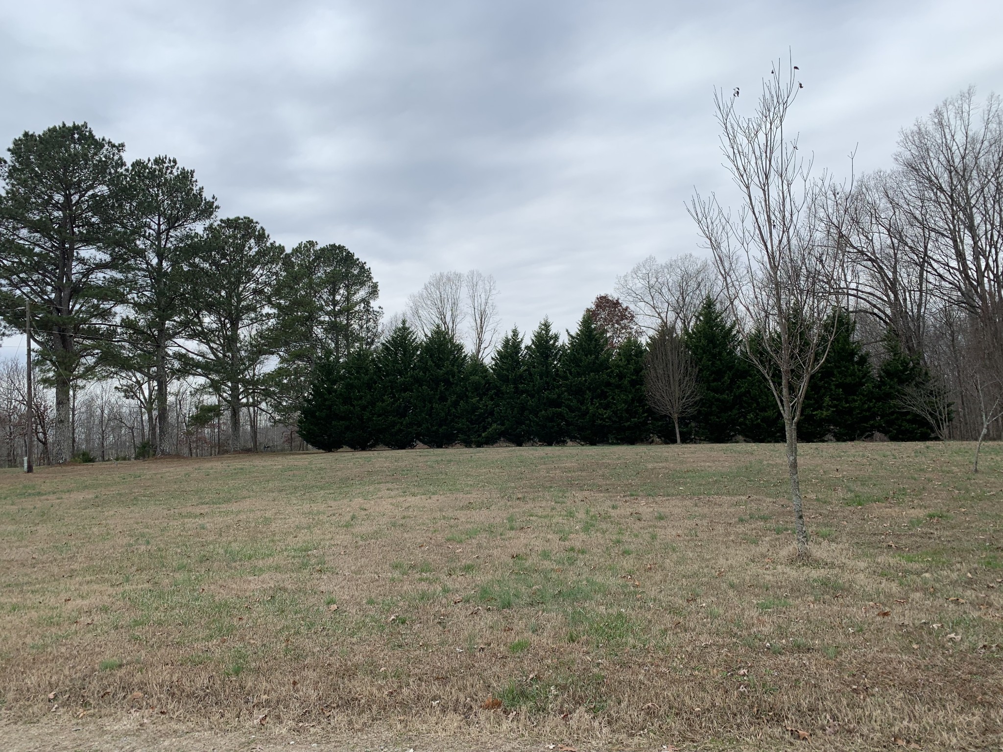 3190 Lanning Road Lawrenceburg, TN 38464 - Photo 14 of 30 a view of empty field with trees