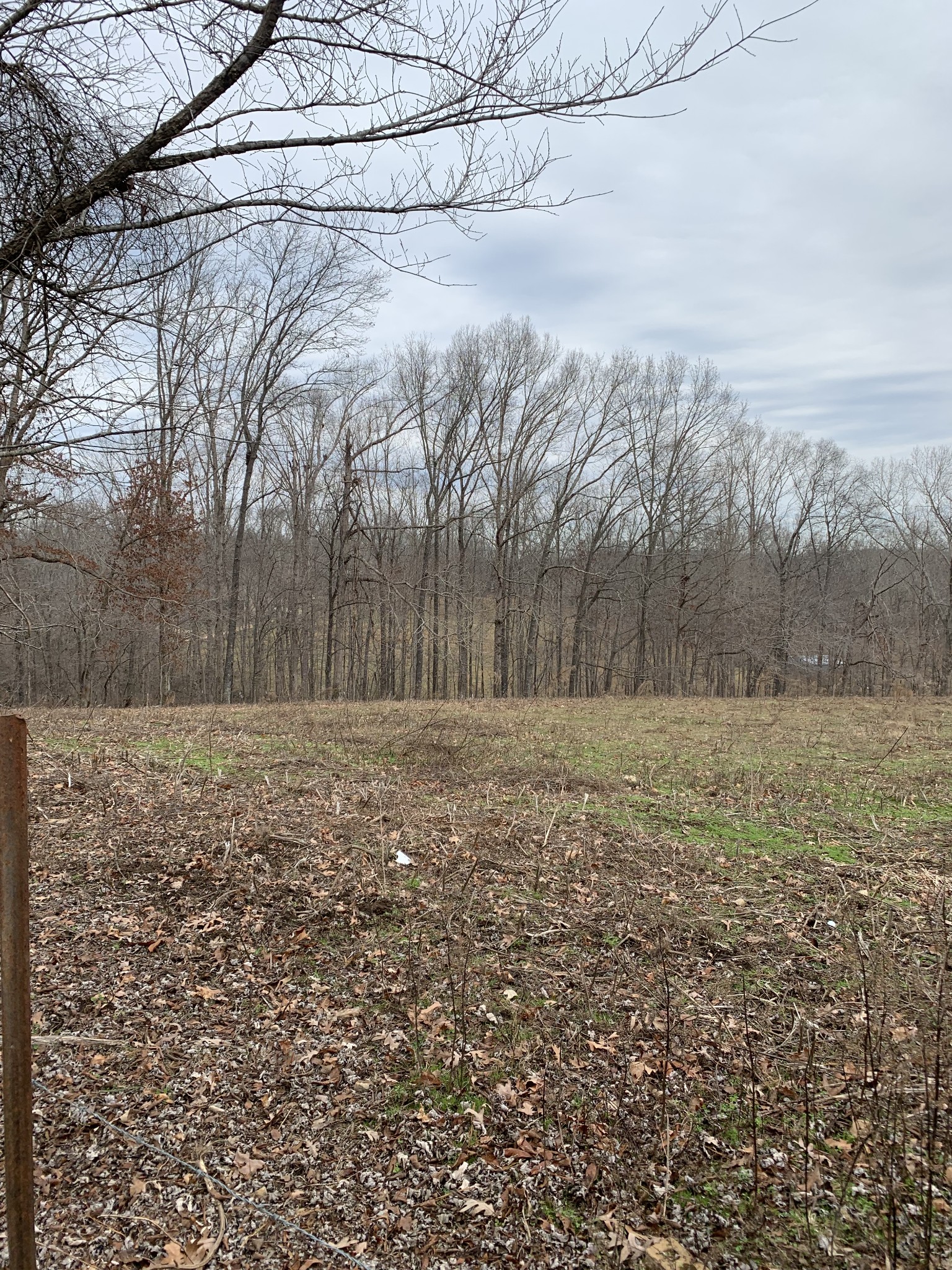 3190 Lanning Road Lawrenceburg, TN 38464 - Photo 15 of 30 a view of a backyard