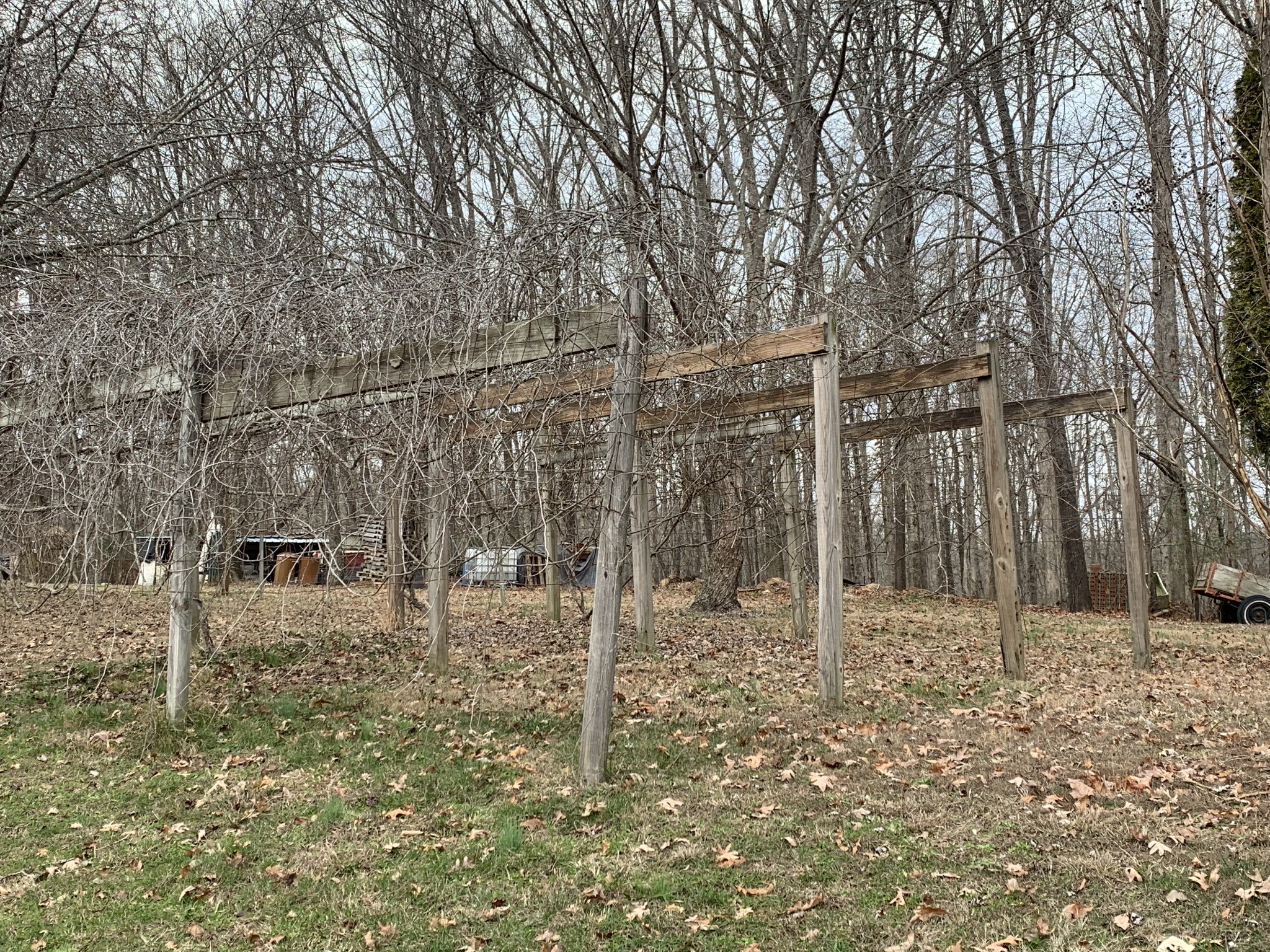 3190 Lanning Road Lawrenceburg, TN 38464 - Photo 16 of 30 a backyard of a house with lots of green space