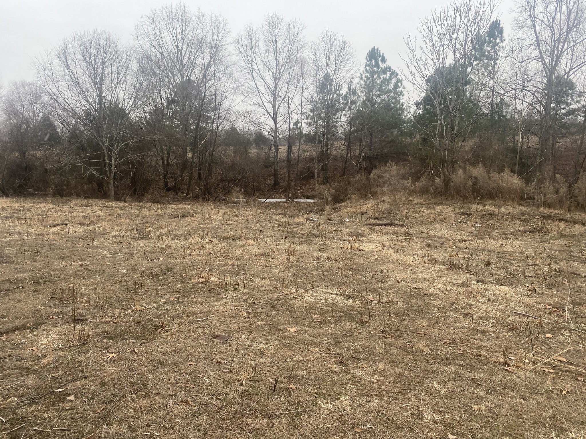 3190 Lanning Road Lawrenceburg, TN 38464 - Photo 20 of 30 a view of a yard with trees