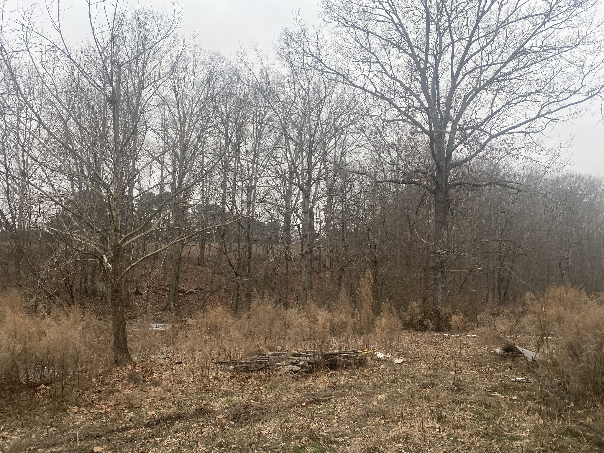 3190 Lanning Road Lawrenceburg, TN 38464 - Photo 24 of 30 a backyard of a house with lots of green space