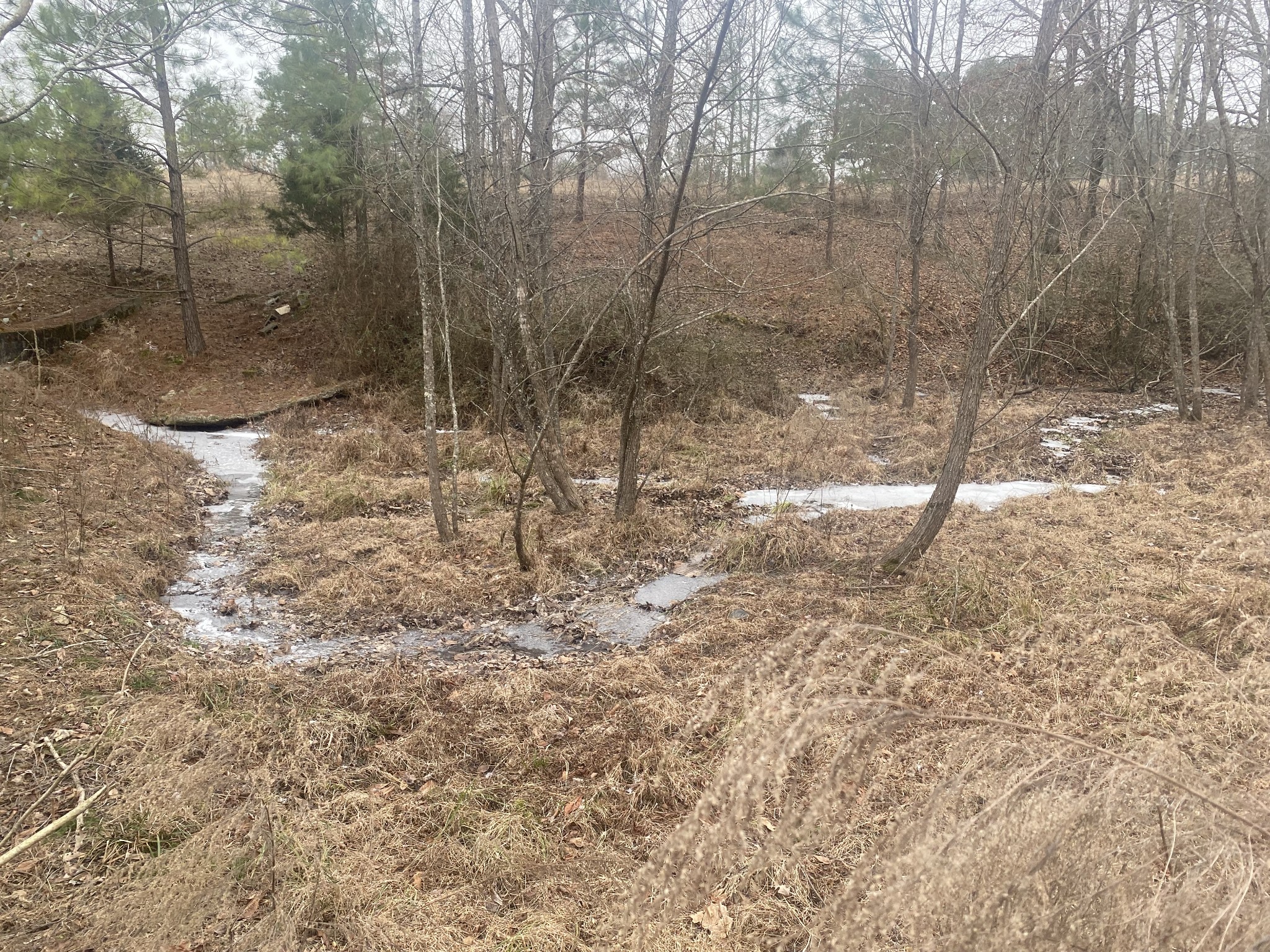3190 Lanning Road Lawrenceburg, TN 38464 - Photo 26 of 30 a view of a forest with a bench