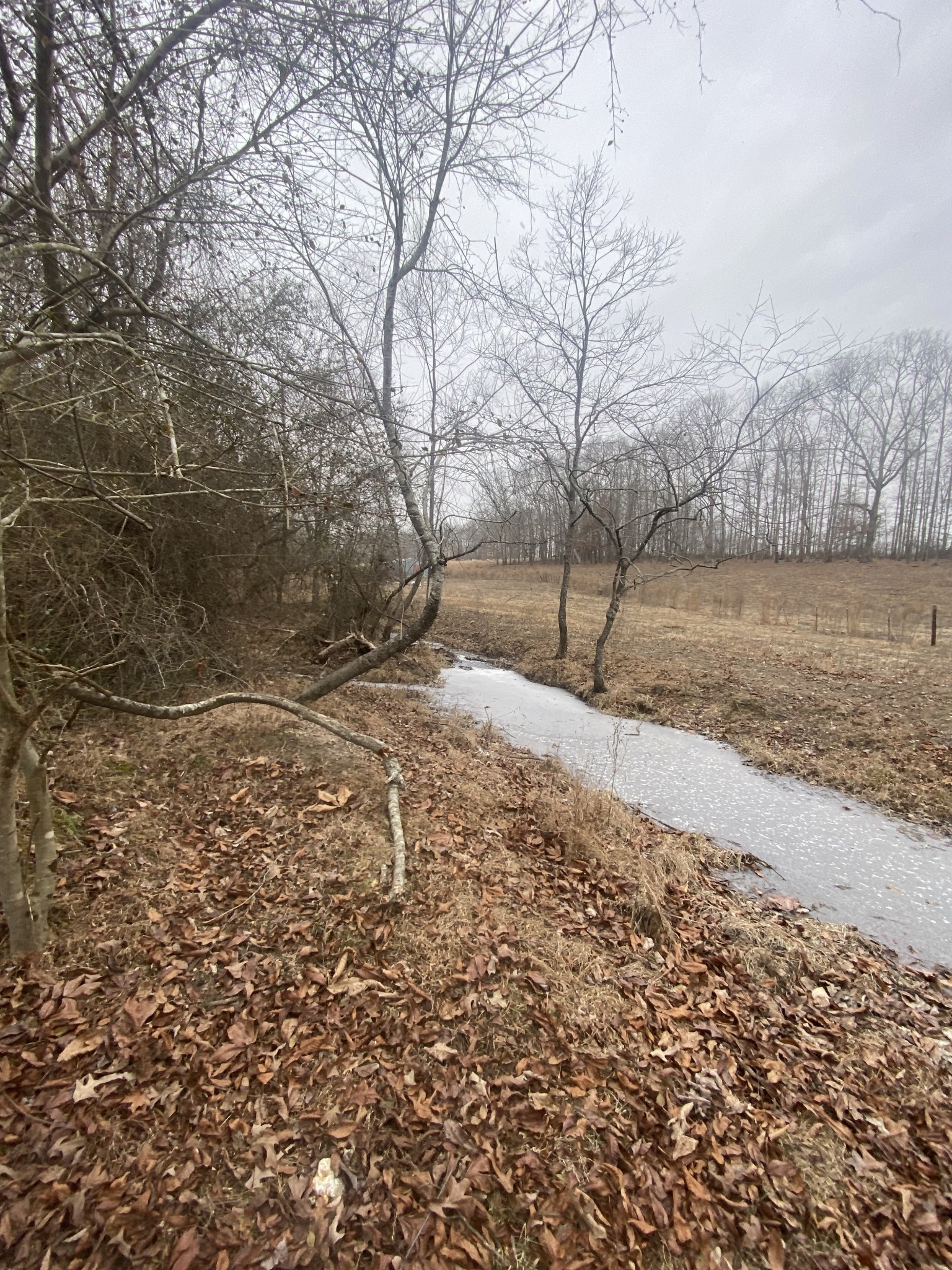 3190 Lanning Road Lawrenceburg, TN 38464 - Photo 27 of 30 a backyard of a house
