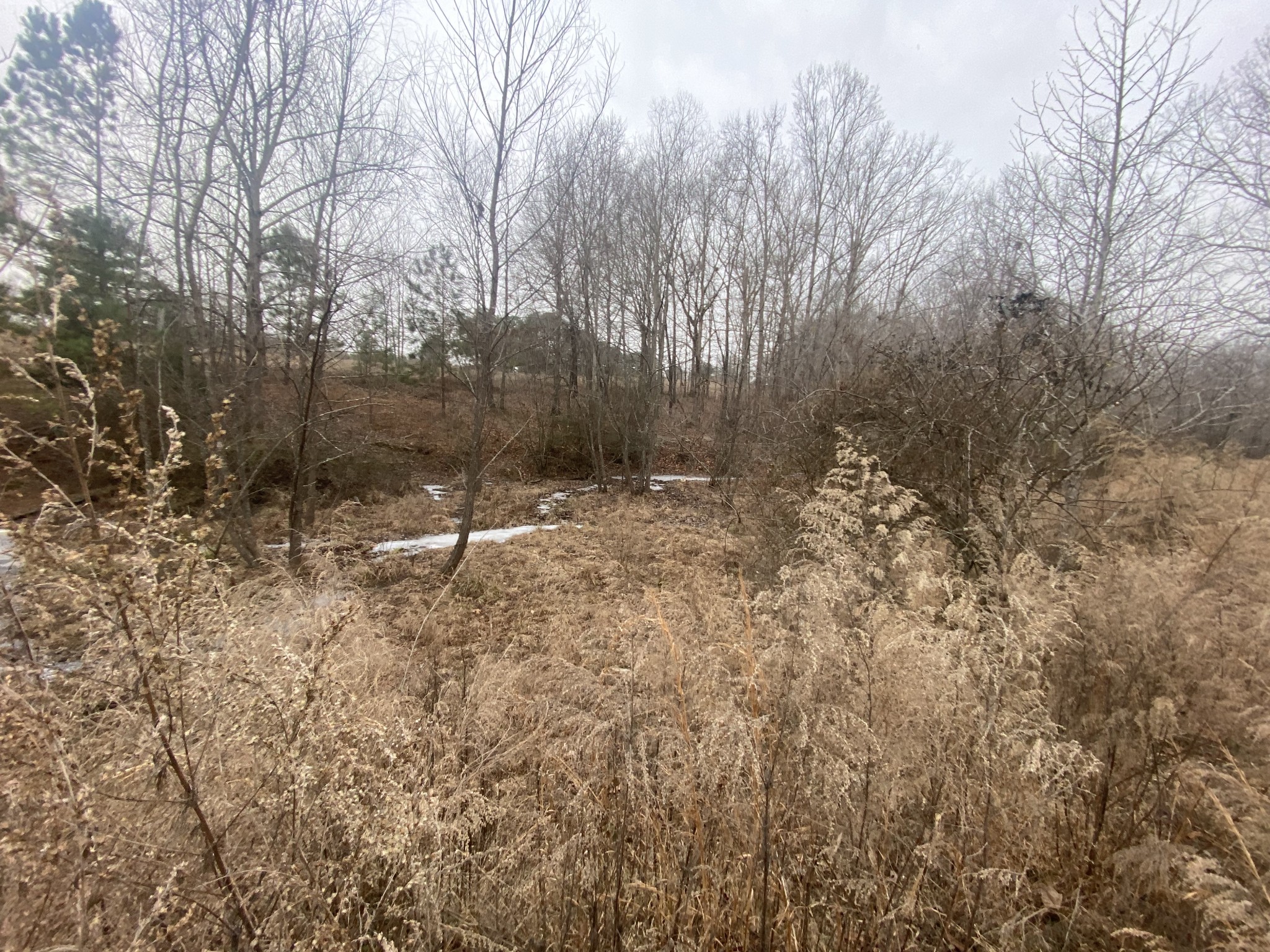 3190 Lanning Road Lawrenceburg, TN 38464 - Photo 29 of 30 a backyard of a house with lots of green space