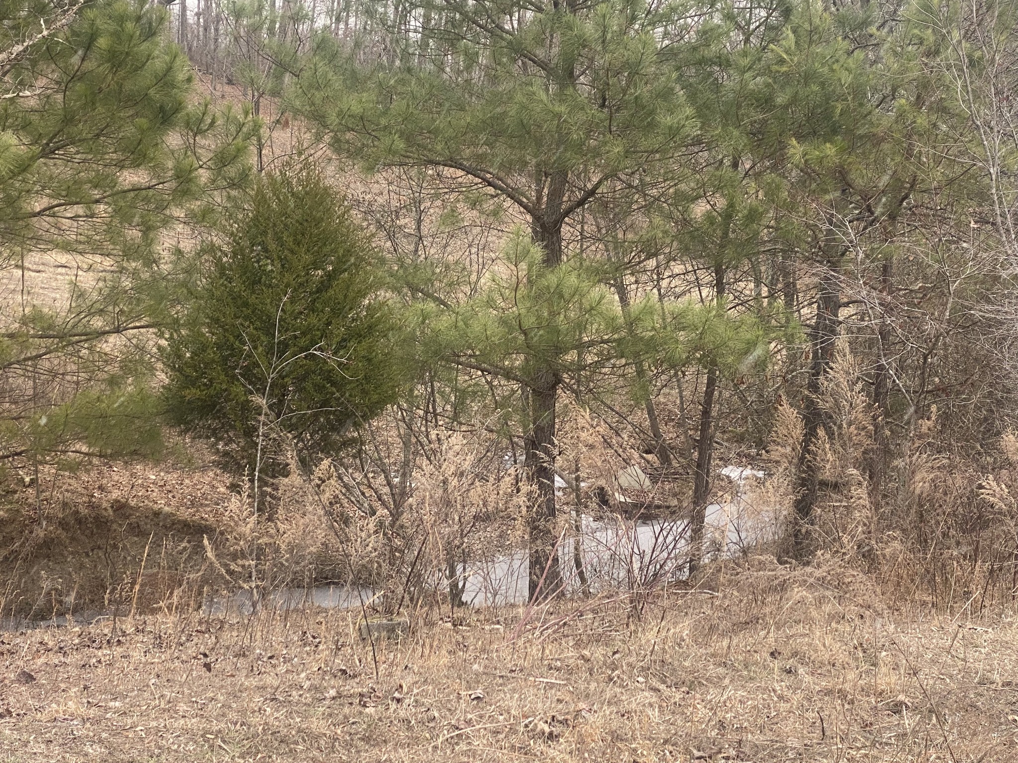 3190 Lanning Road Lawrenceburg, TN 38464 - Photo 30 of 30 a view of mountain view with covered with green space