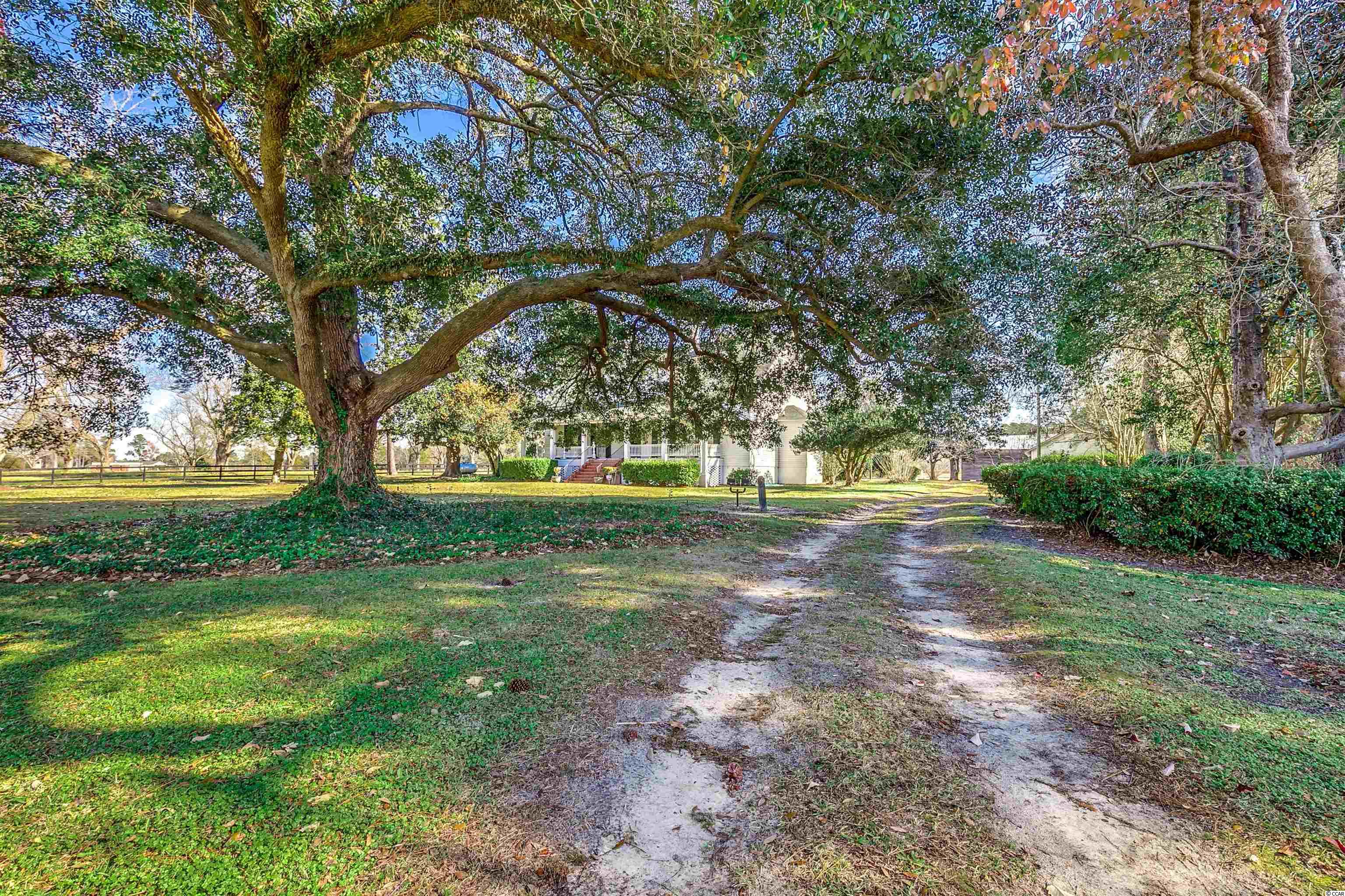 1076 Green Sea Road Green Sea, SC 29545 - Photo 2 of 40 Gallery Image 2