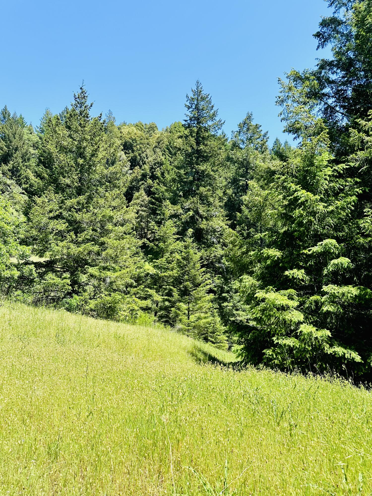 400 Seely Creek Road Redway, CA 95560 - Photo 56 of 73