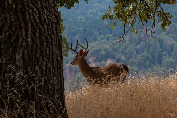 $3,430,000 | 56701 Highway 162, Covelo, CA 95428