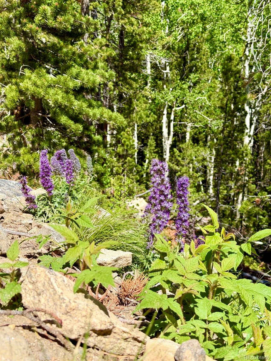 Lot 5 Roosevelt Ridge Black Hawk, CO 80422 - Photo 16 of 17