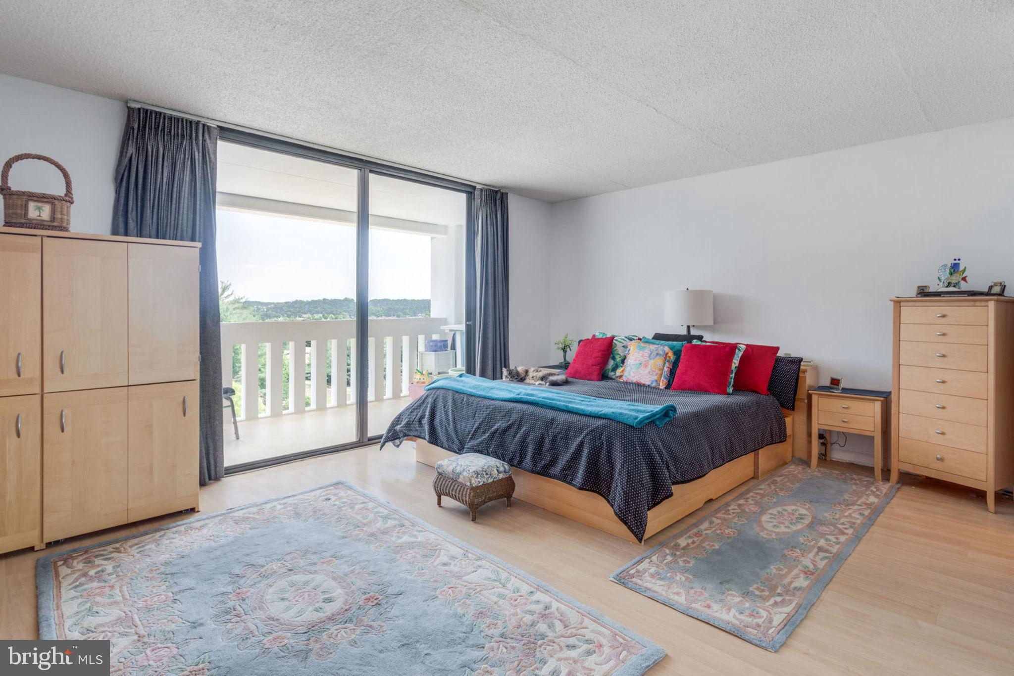 6101 Edsall Road, Unit 611 Alexandria, VA 22304 - Photo 24 of 65 ENORMOUS MASTER BEDROOM