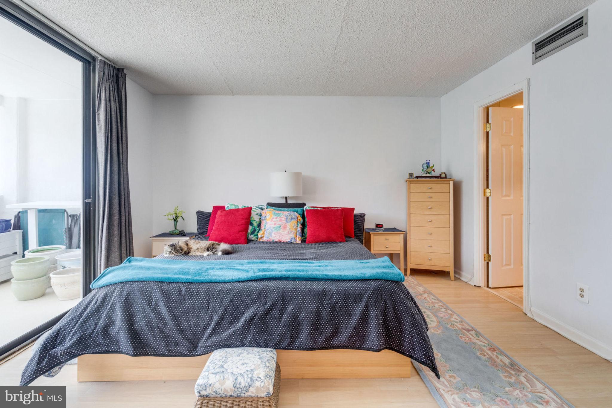 6101 Edsall Road, Unit 611 Alexandria, VA 22304 - Photo 25 of 65 MASTER BEDROOM