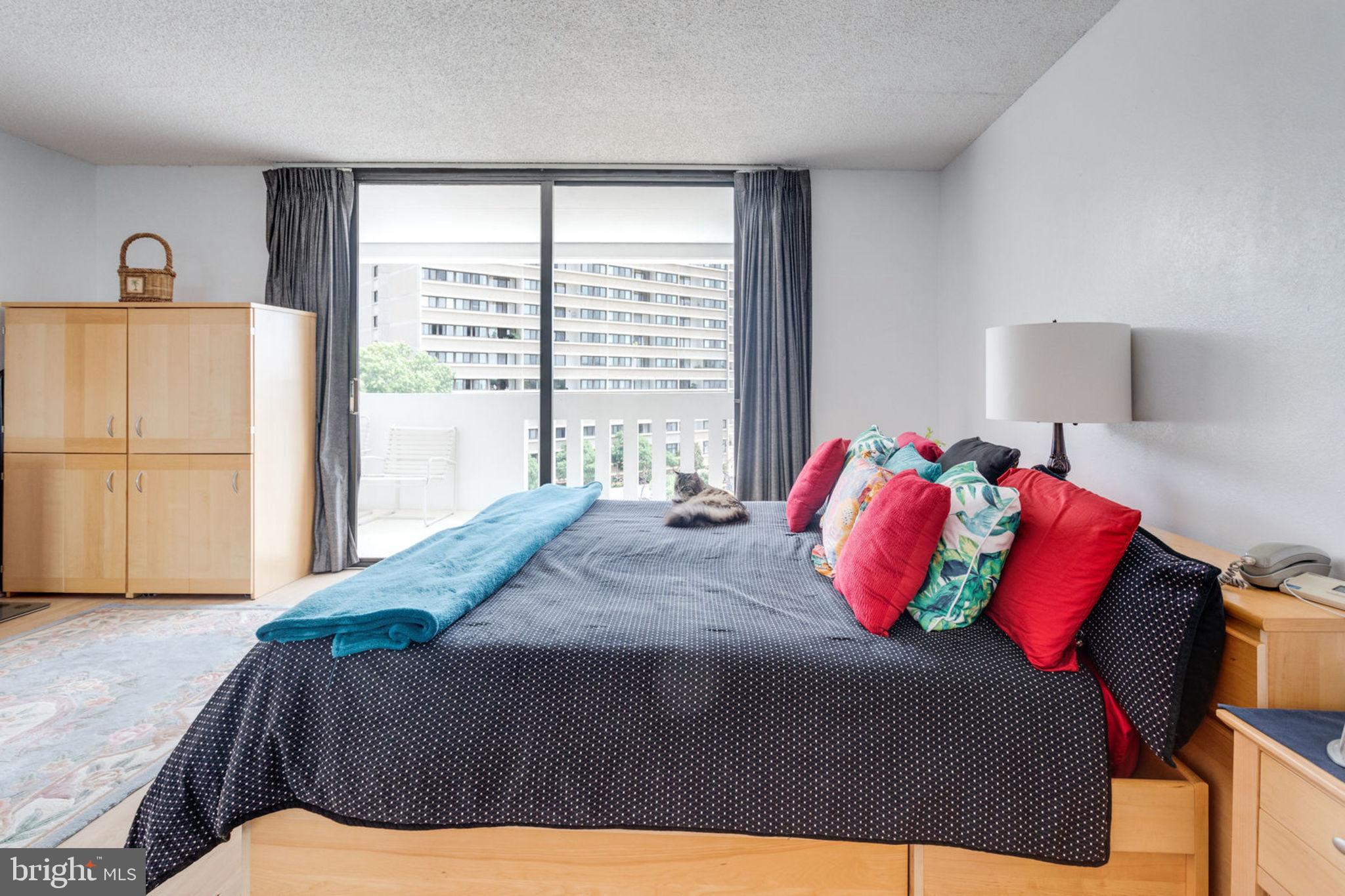 6101 Edsall Road, Unit 611 Alexandria, VA 22304 - Photo 28 of 65 MASTER BEDROOM