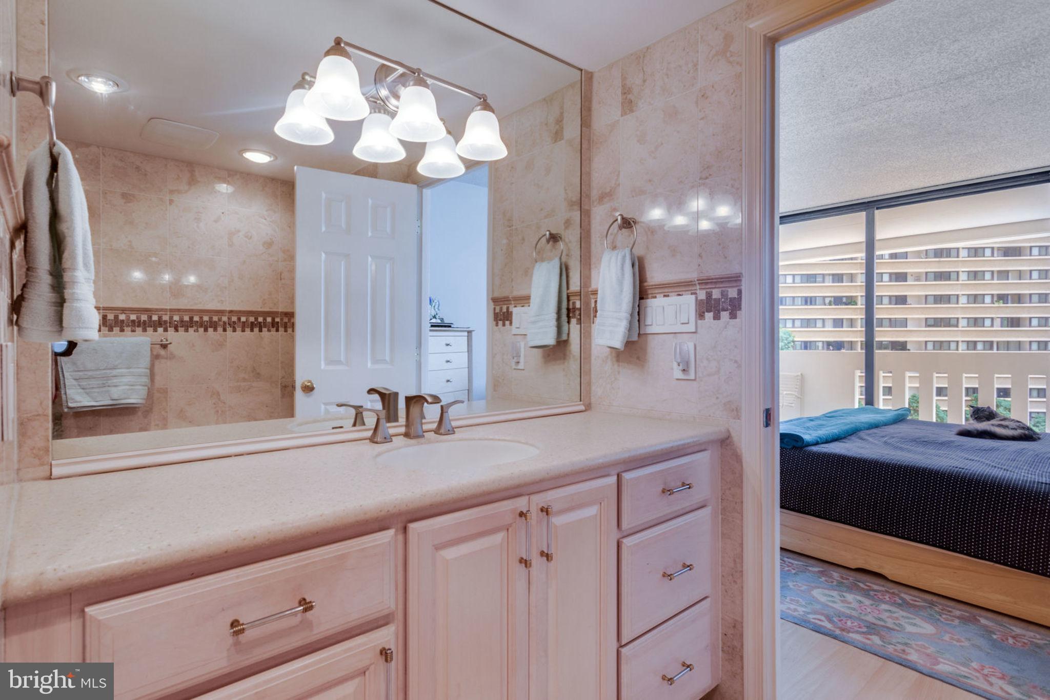 6101 Edsall Road, Unit 611 Alexandria, VA 22304 - Photo 32 of 65 MASTER BATH