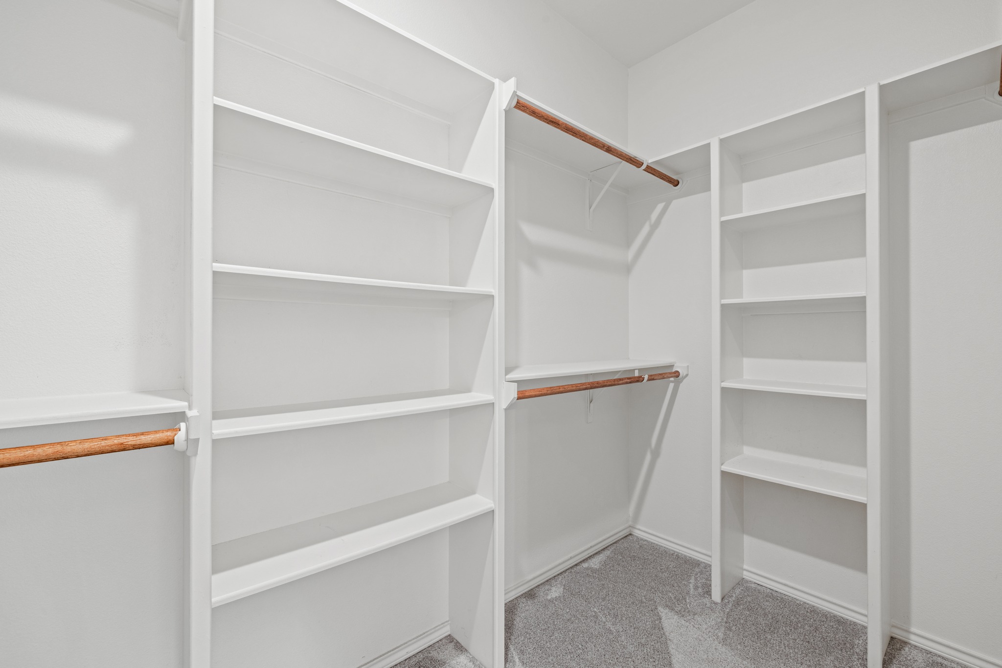 6019 Monza Drive Temple, TX 76502 - Photo 23 of 40 Walk in closet featuring light colored carpet
